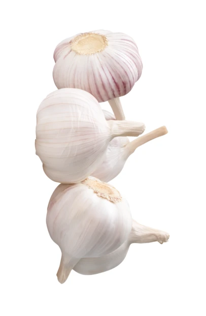 Fresh whole garlic bulbs isolated on white background