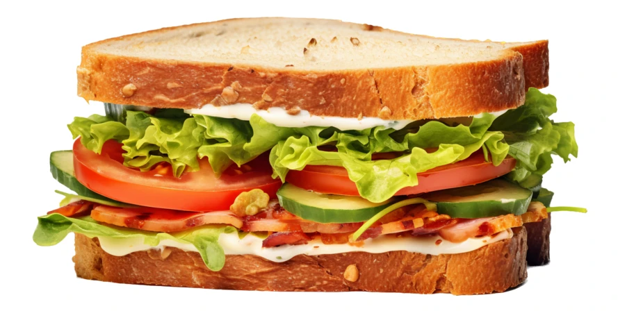 Fresh ham and vegetable sandwich on whole grain bread
