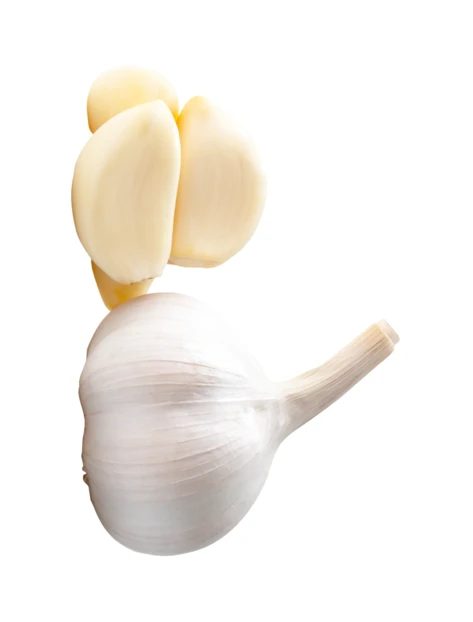 Whole garlic bulb and peeled cloves isolated on white