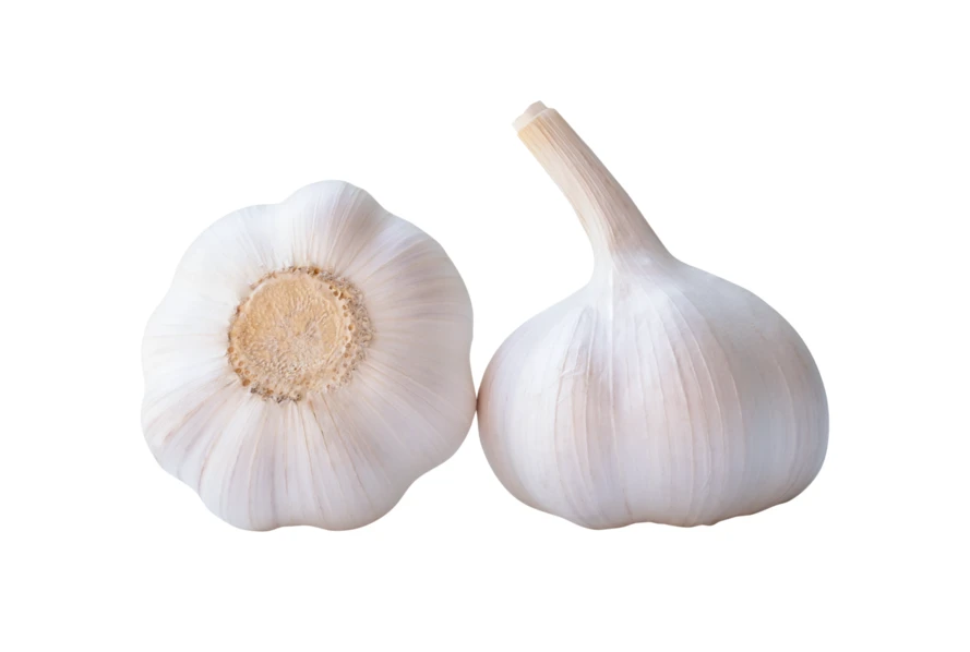 Two whole garlic bulbs isolated on a white background