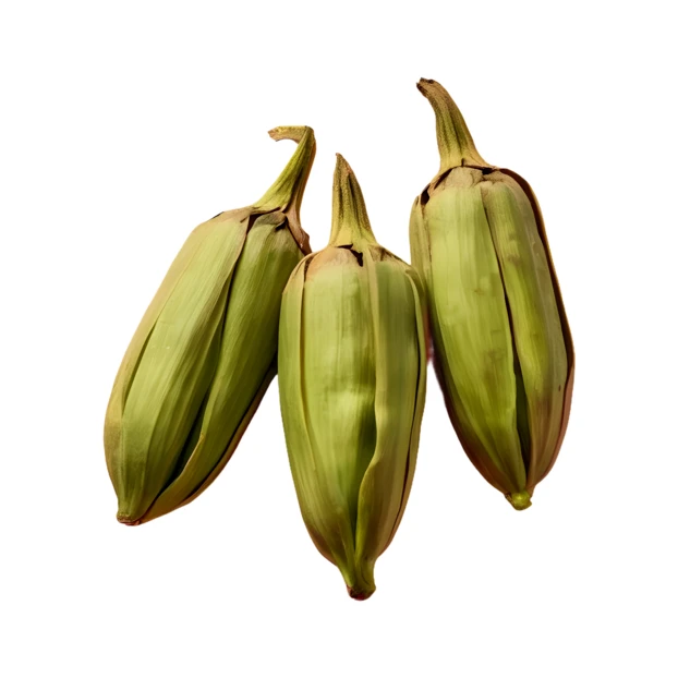 Three fresh green banana heart blossoms isolated on white