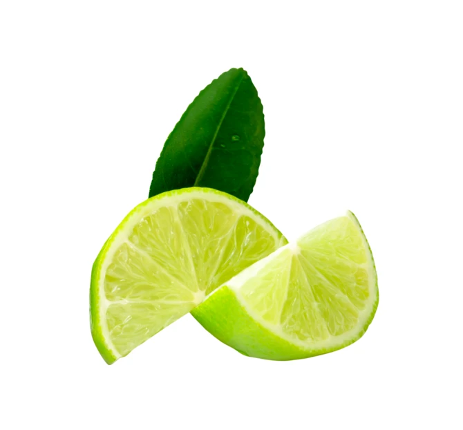 Fresh lime slices with a green leaf isolated on white