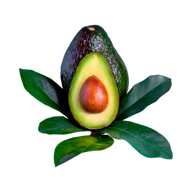 Whole and halved avocado with leaves on white background