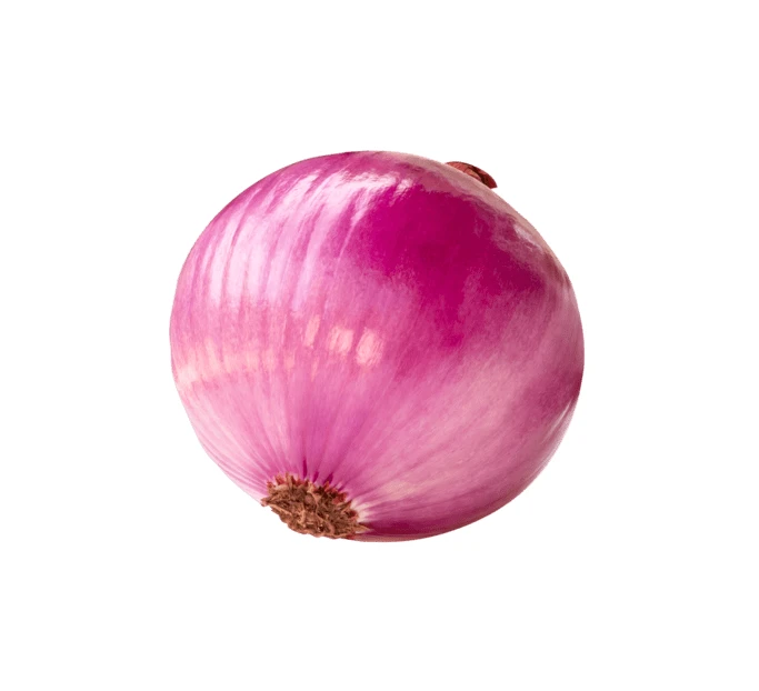 Single whole red onion isolated on white background