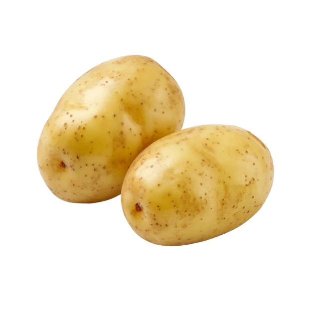 Two raw whole potatoes isolated on white background