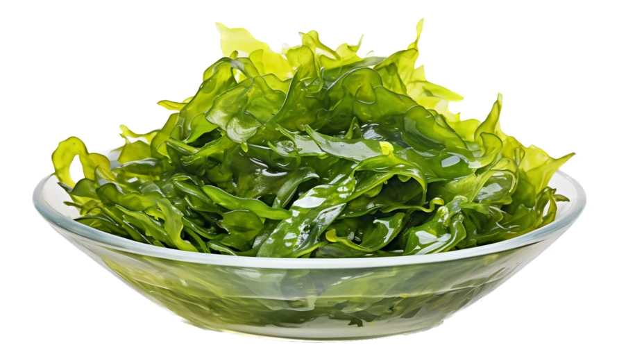Fresh green seaweed in glass bowl isolated on white