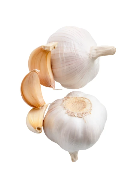 Two whole garlic bulbs and cloves on white background
