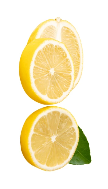 Fresh lemon slices with green leaf on white background