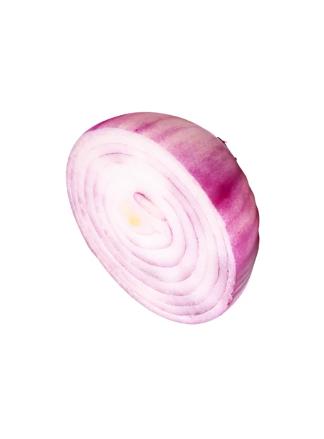 Slice of red onion isolated on white background