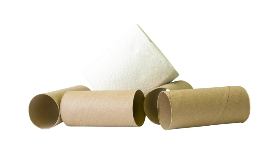 Full toilet paper roll and empty cardboard tubes on white background