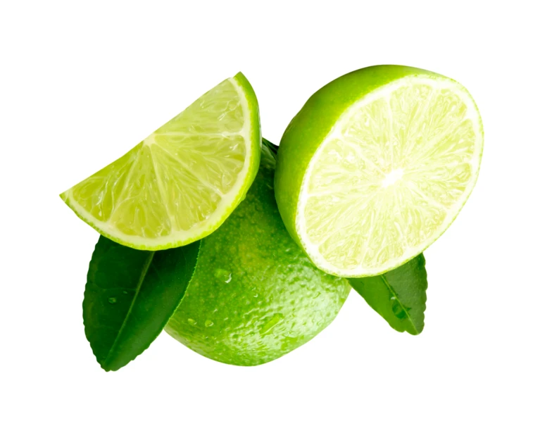 Fresh lime fruit slices and leaves isolated on white