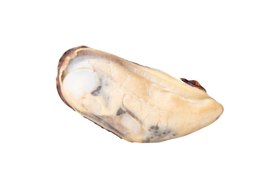 Cooked mussel meat isolated on white background