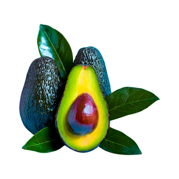 Fresh ripe avocados with leaves isolated on white background