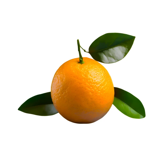 Fresh whole orange with green leaves isolated on white