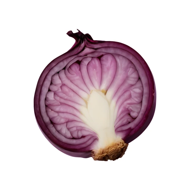 Cross section of a red onion on white background