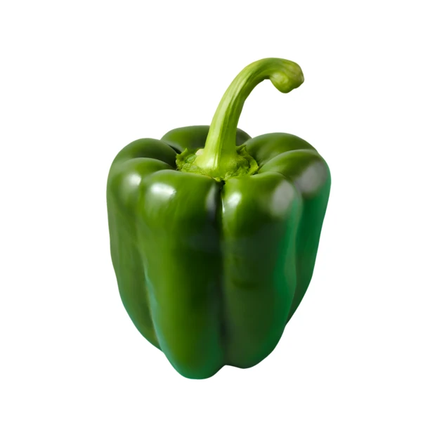 Single fresh green bell pepper isolated on white background