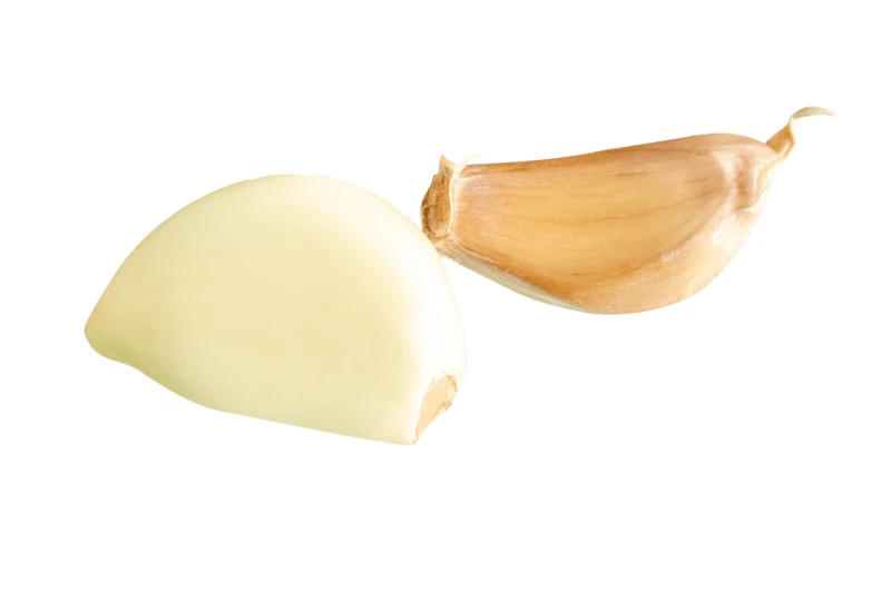 Two fresh garlic cloves isolated on white background