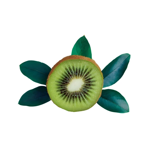 Fresh kiwi fruit slice with green leaves on white background