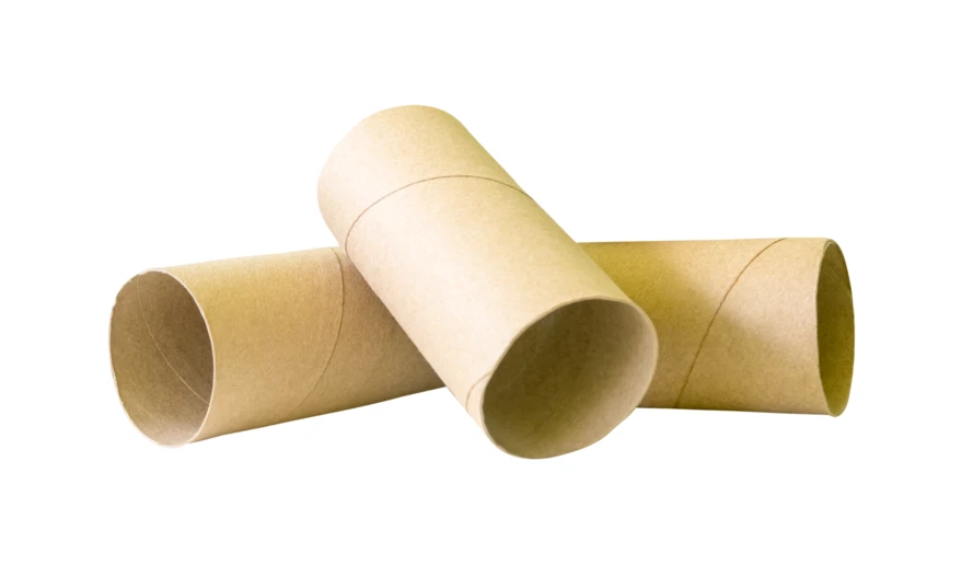 Three empty brown cardboard toilet paper rolls isolated on white