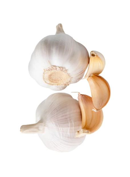 Two whole garlic bulbs and cloves falling on white background