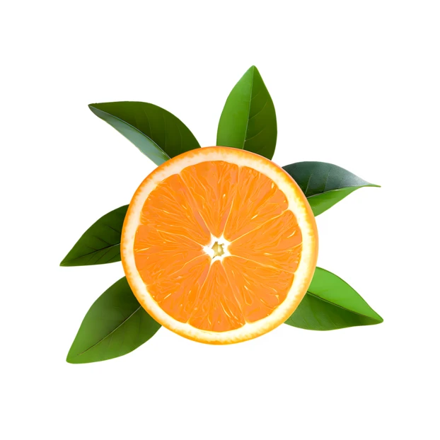 Fresh orange slice with green leaves on white background