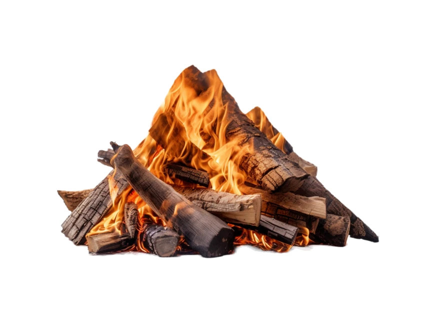 Campfire with burning wood logs isolated on white background