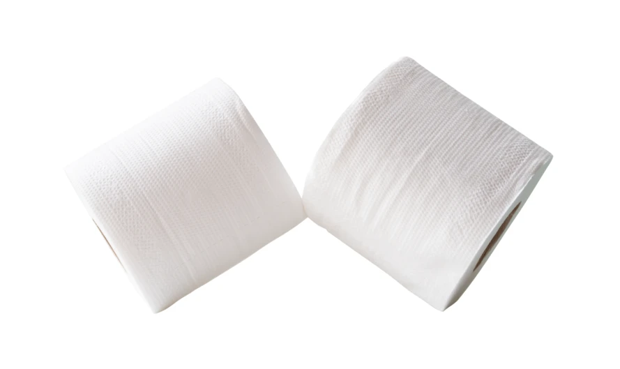 Two rolls of white toilet paper isolated on white