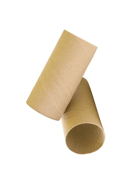 Two empty cardboard toilet paper rolls isolated on white