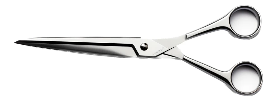 Professional stainless steel scissors isolated on white background