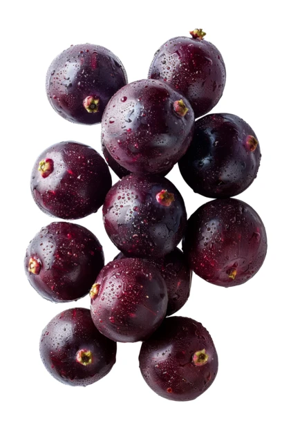Fresh Jabuticaba berries with water drops isolated on white