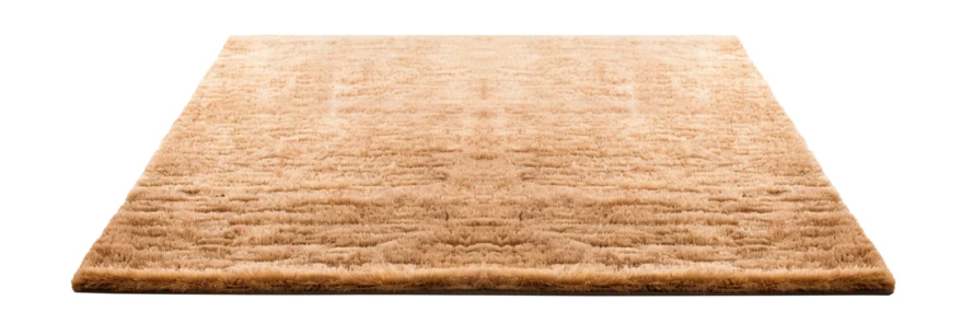 Tan plush shaggy rectangular rug isolated on white background