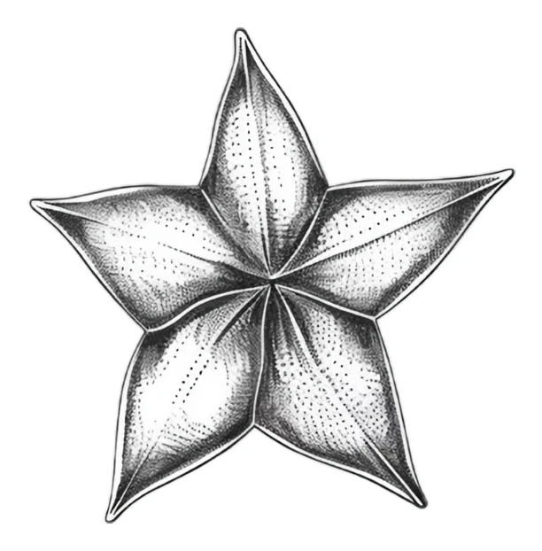 Vintage hand-drawn five-pointed star illustration