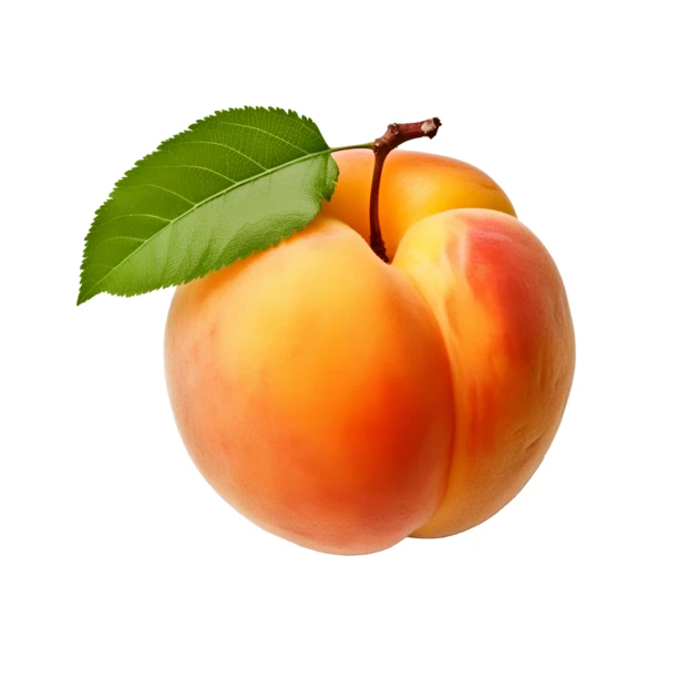 Fresh ripe apricot with green leaf isolated on white background