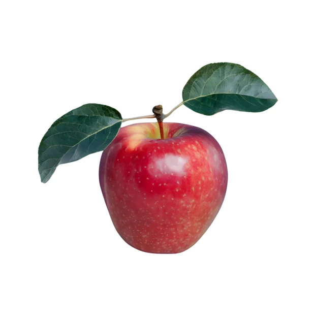 Single fresh red apple with leaves isolated on white