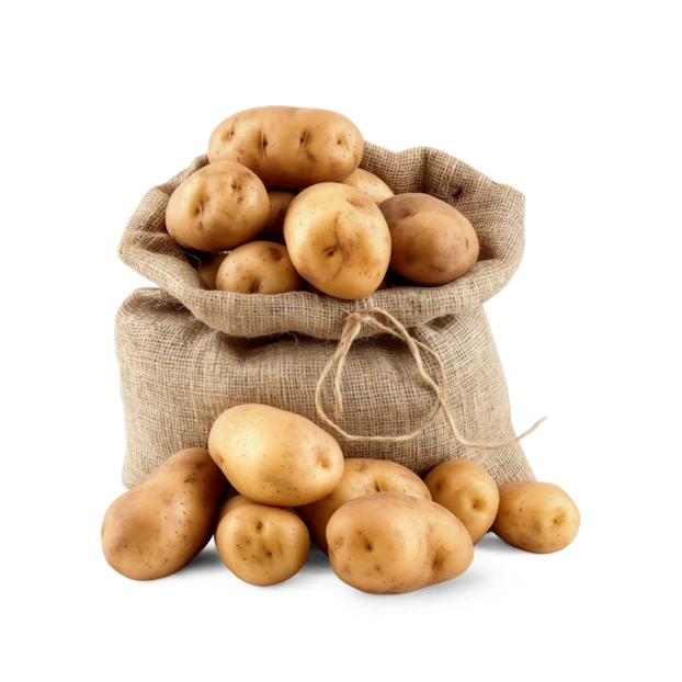 Fresh raw potatoes in a burlap sack isolated on white