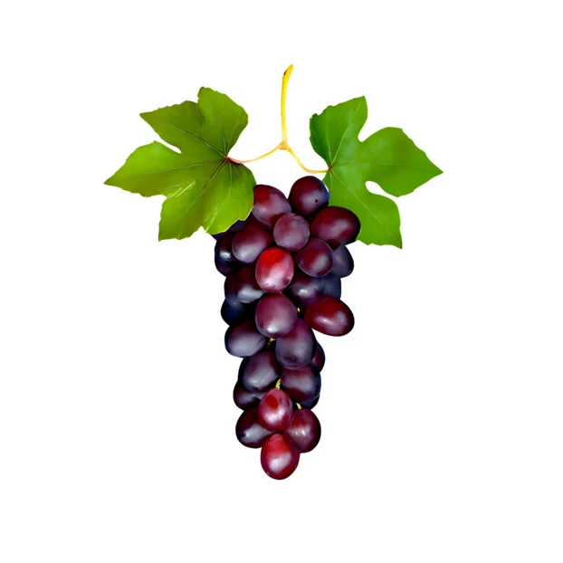 Bunch of red grapes with green leaves isolated on white