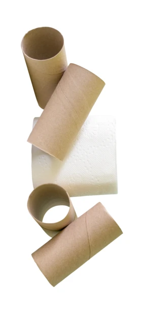 Empty cardboard toilet paper tubes and full white paper roll