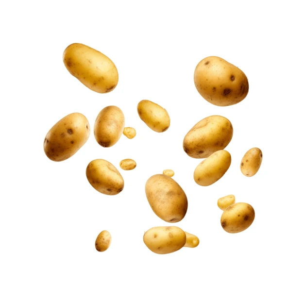 Falling raw whole potatoes isolated on white background