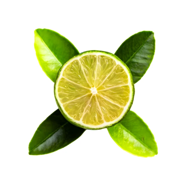 Fresh lime slice with green leaves isolated on white