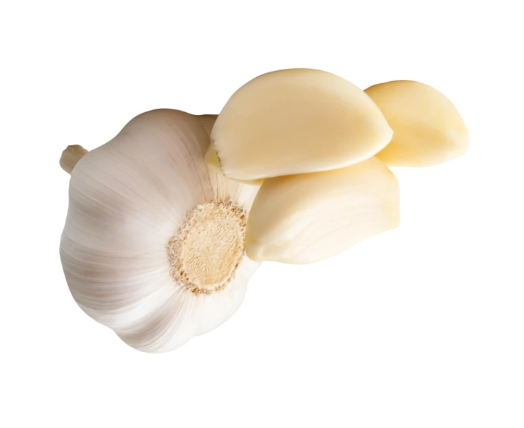 Whole garlic bulb and peeled cloves isolated on white