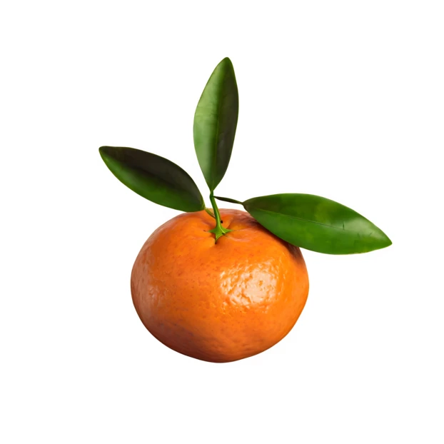 Fresh mandarin orange with green leaves on white background