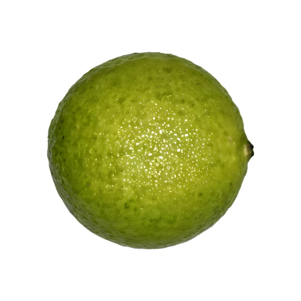Fresh whole green lime isolated on white background