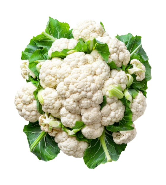 Fresh whole cauliflower with green leaves isolated on white background