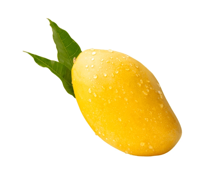 Fresh yellow mango with green leaves isolated on white