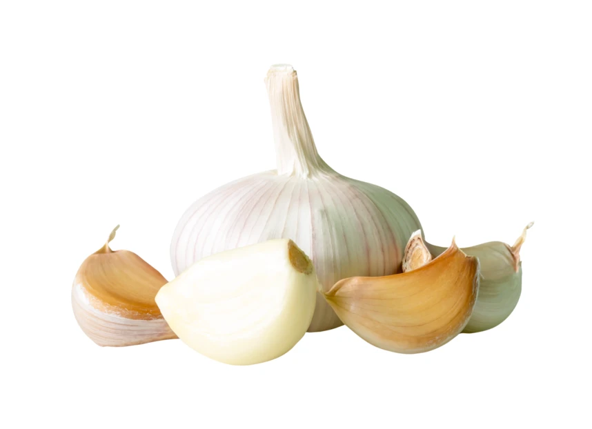 Fresh garlic bulb and cloves isolated on white background