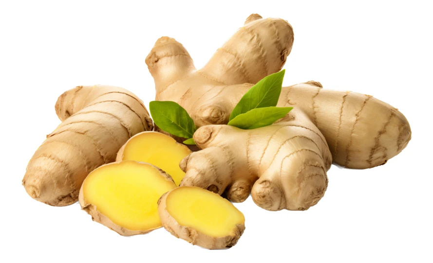 Fresh ginger roots and slices isolated on white background