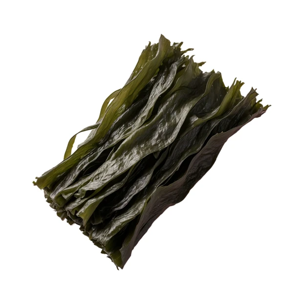 Dried kombu seaweed bundle isolated on white background