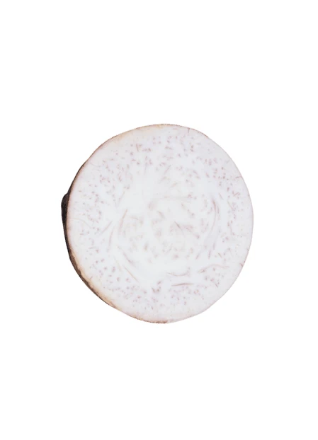 Cross section of a taro root slice on white background