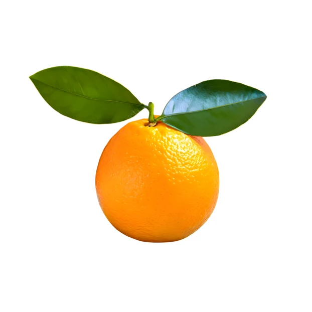 Fresh whole orange with green leaves on white background