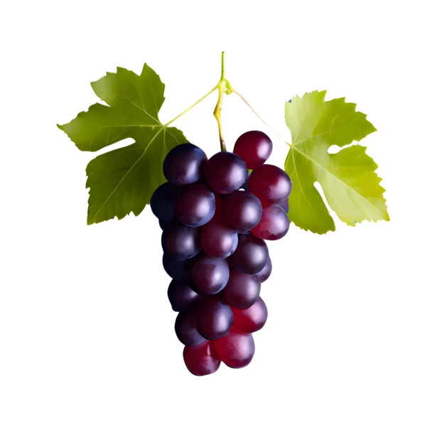 Bunch of ripe red grapes with leaves isolated on white